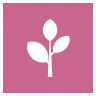 Icon einer Pflanze auf pinkfarbenem Hintergrund