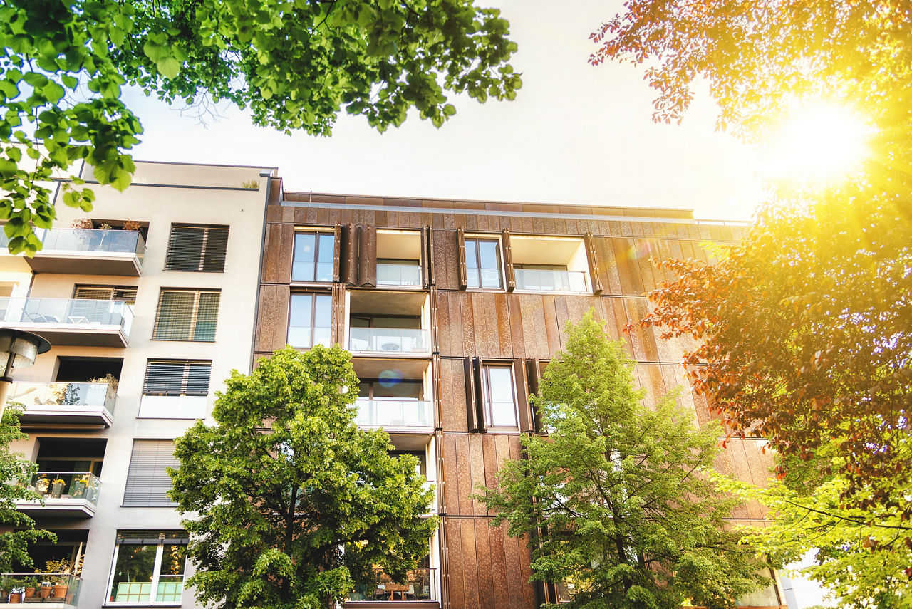 modernes Haus mit grünen Bäumen und Sonnenschein