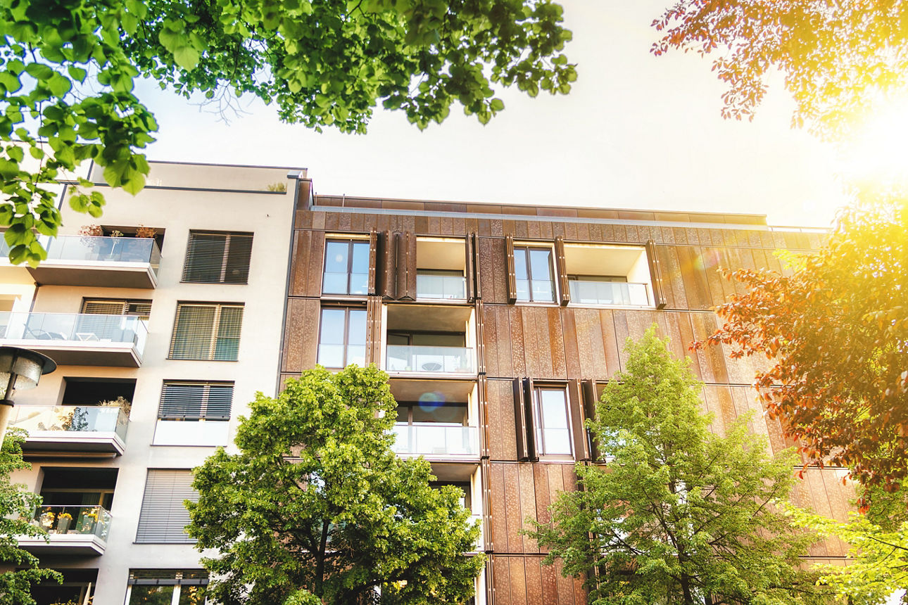 modernes Haus mit grünen Bäumen und Sonnenschein