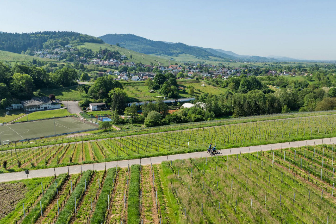 Landschaft und Wohnumfeld in der Region Bühl als Einstieg in die Immobiliensuche nach einem passenden Zuhause.