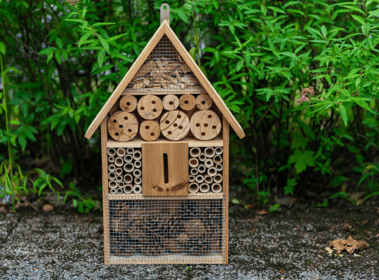 insektenhotels-bauen-oder-kaufen