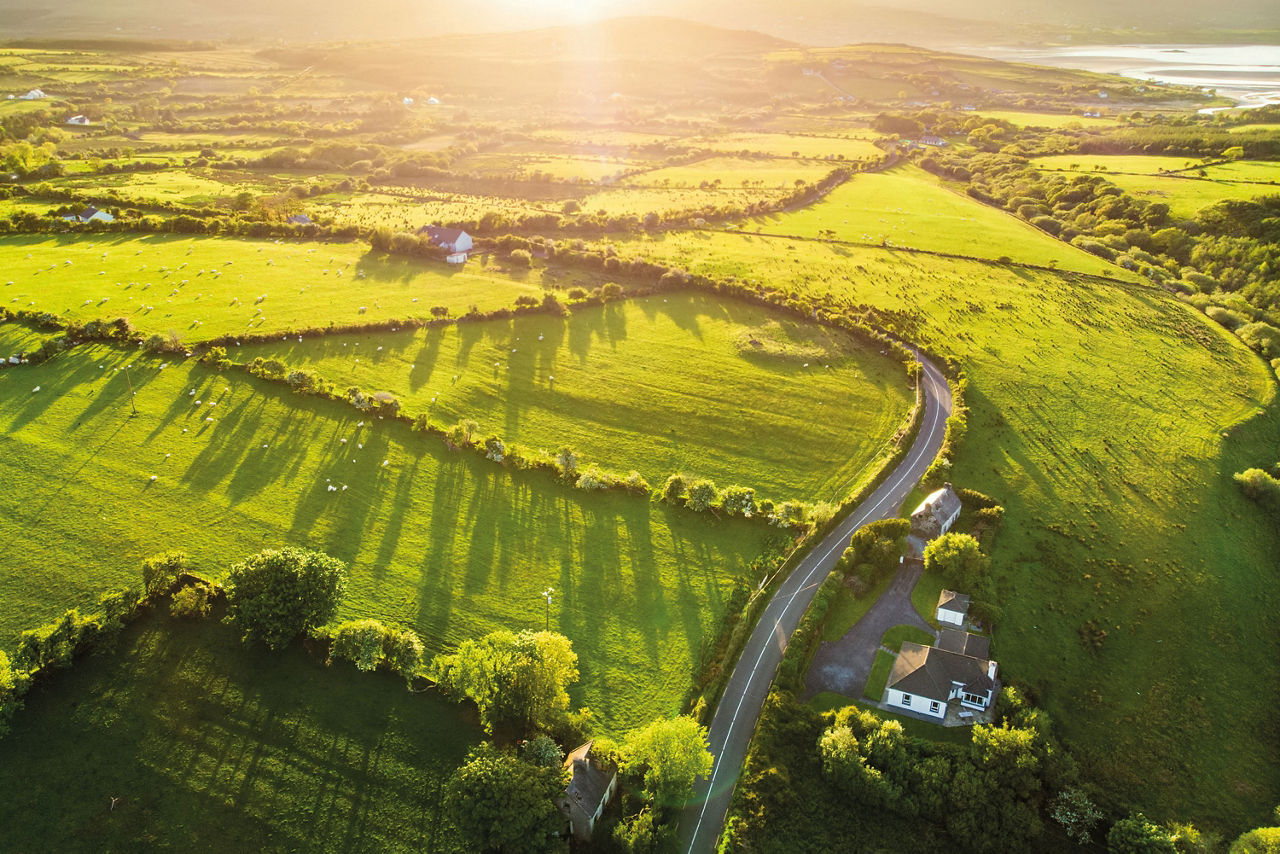 Luftaufnahme einer grünen Feldlandschaft in Irland bei Sonnenschein