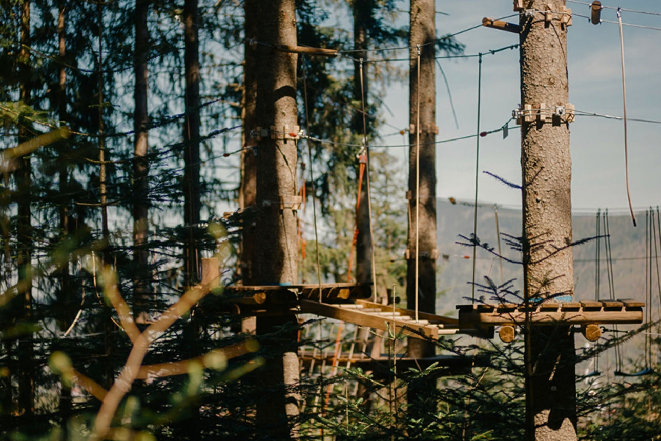 Holzplattform und Seilparcours zwischen hohen Bäumen im Wald