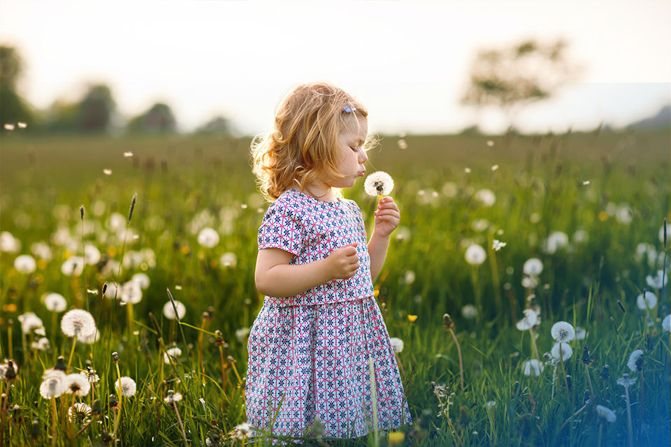 Mädchen mit Pusteblume auf einer Wiese