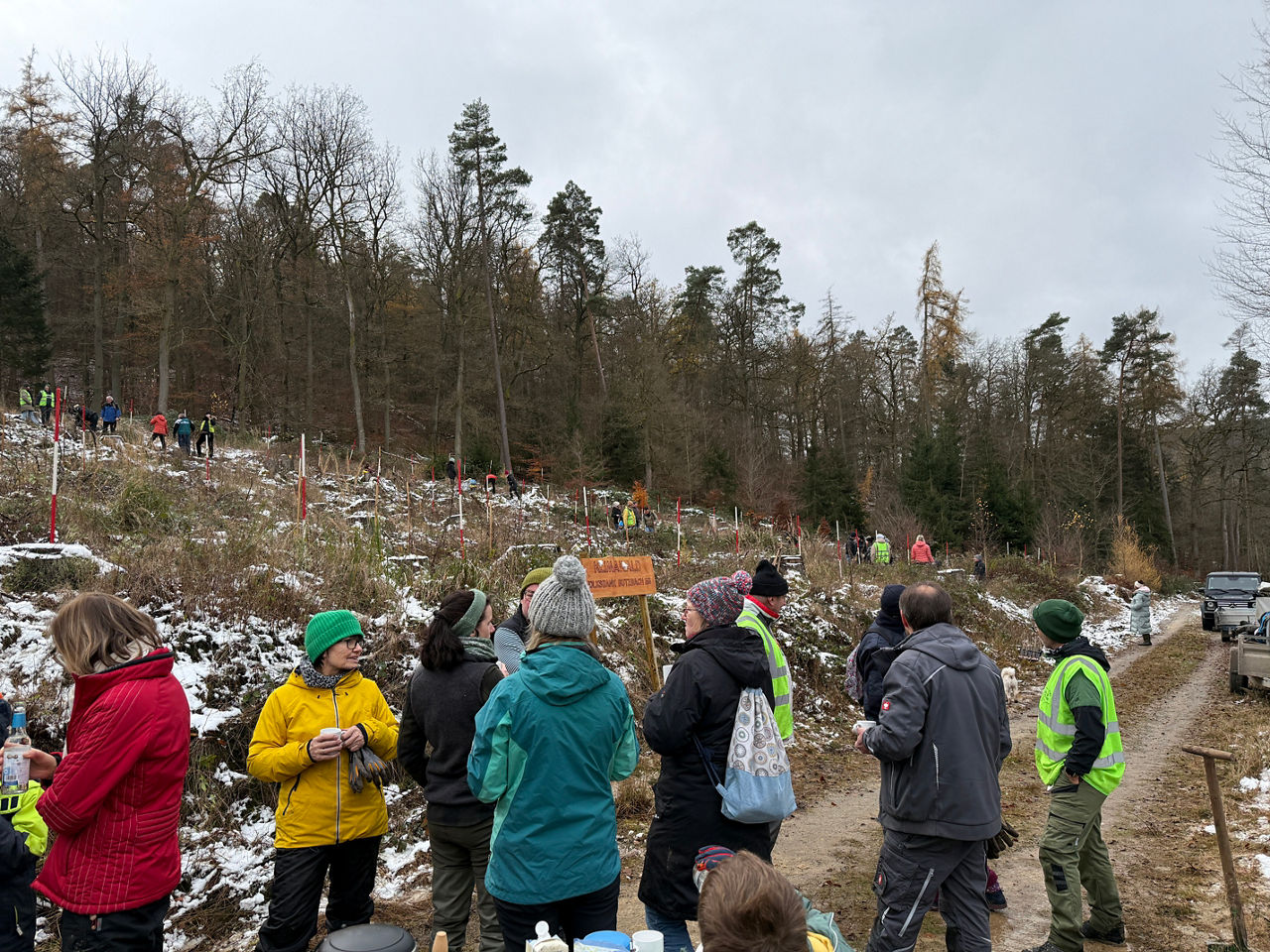 Menschen in einem Wald