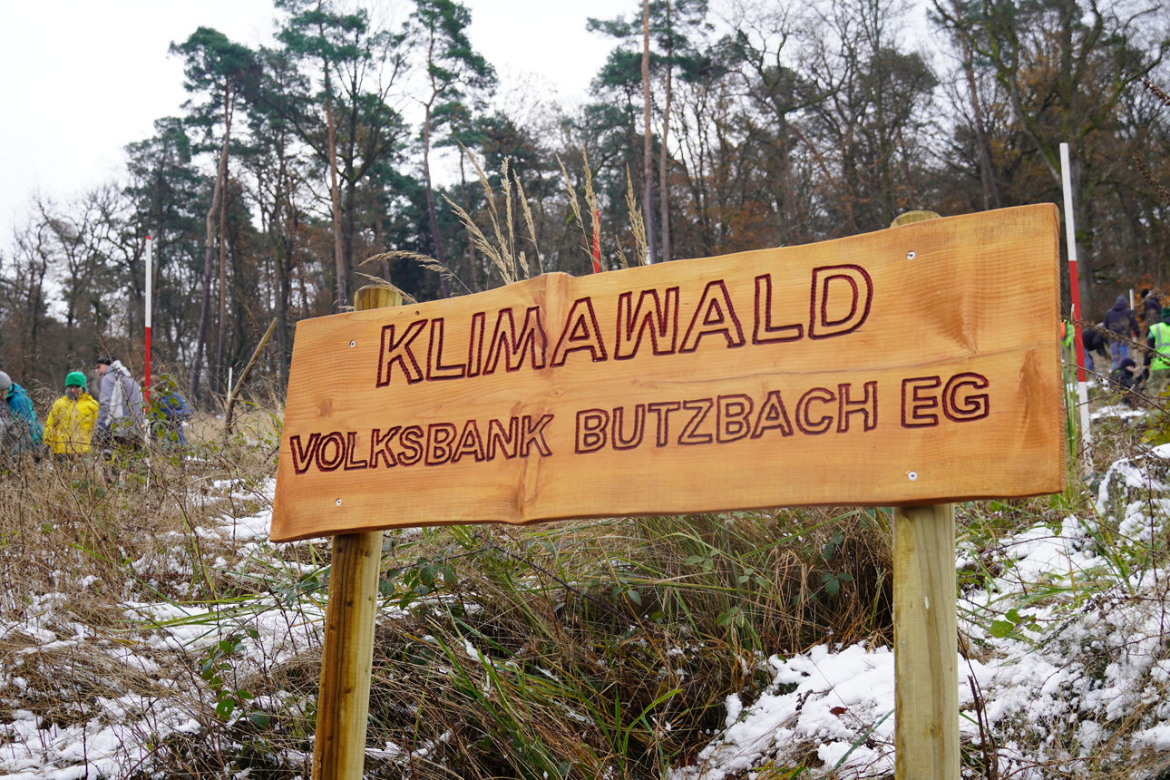 Holschild mit Aufschrift "Klimawald Volksbank Butzbach eG" in einem Wald