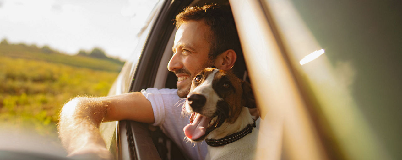Mann mit Hund auf dem Schoß in einem Auto