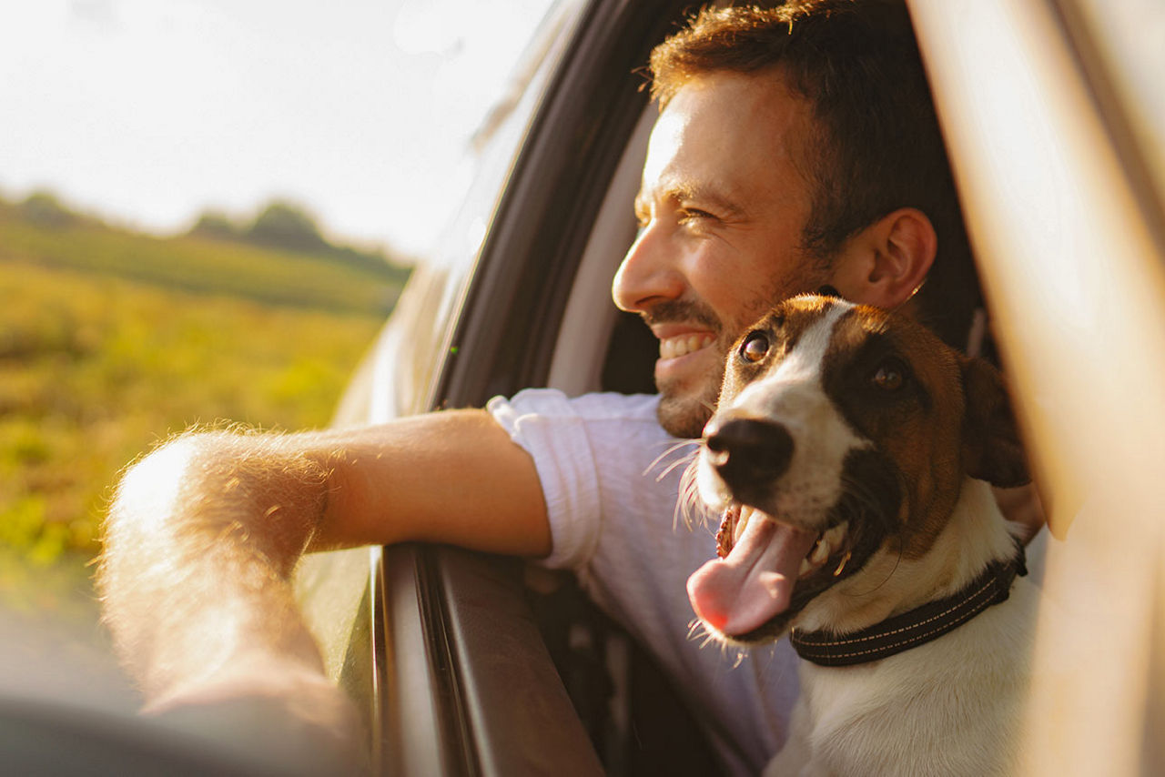 Mann mit Hund auf dem Schoß in einem Auto
