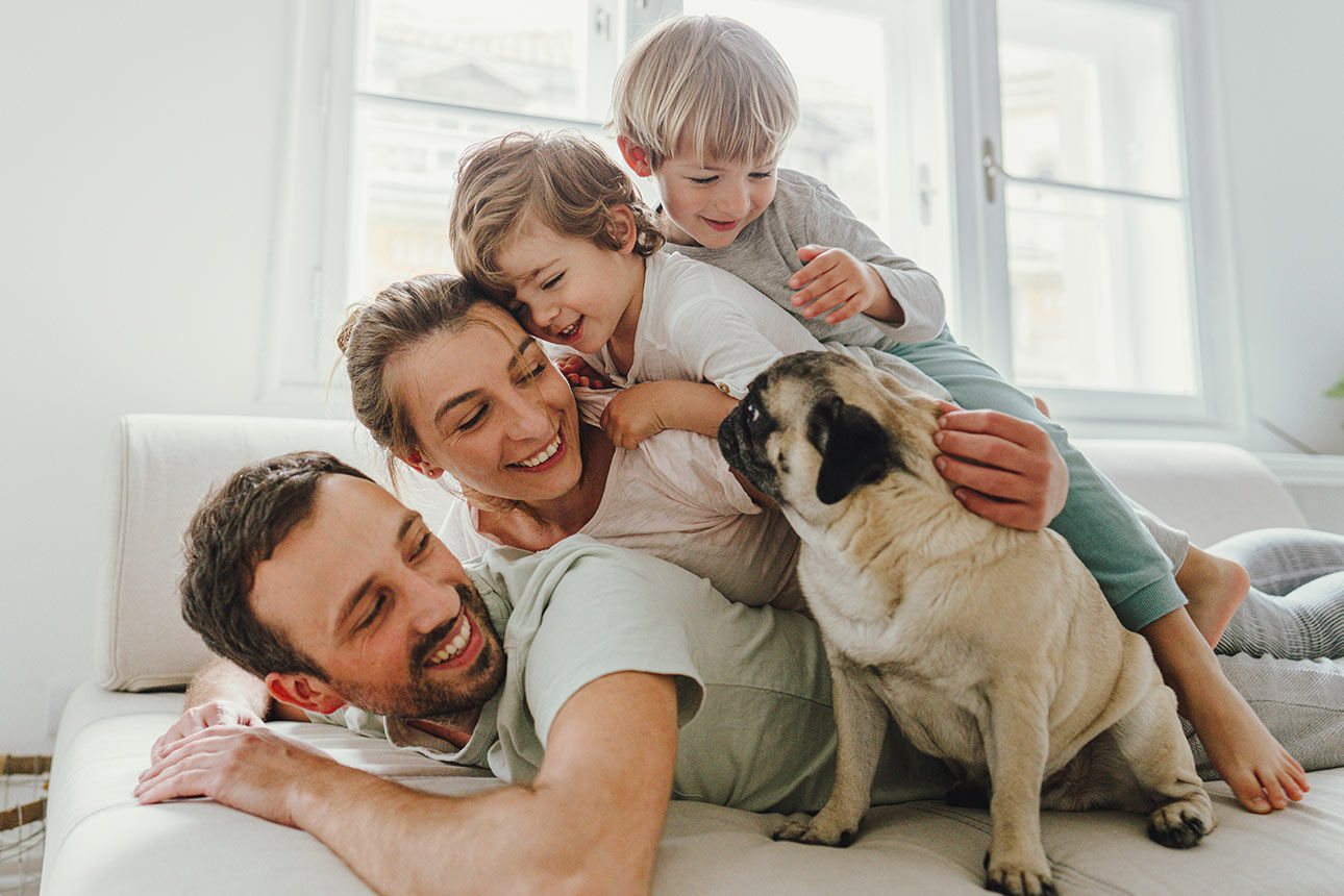 Glückliche Familie mit zwei Kindern und einem Hund liegt übereinander gestapelt auf einem Bett