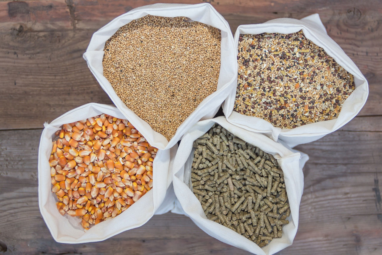 Taschen mit Körnern und Pellets, die im Futtermittelhandel zum Verkauf stehen. Foto: Getty Images.