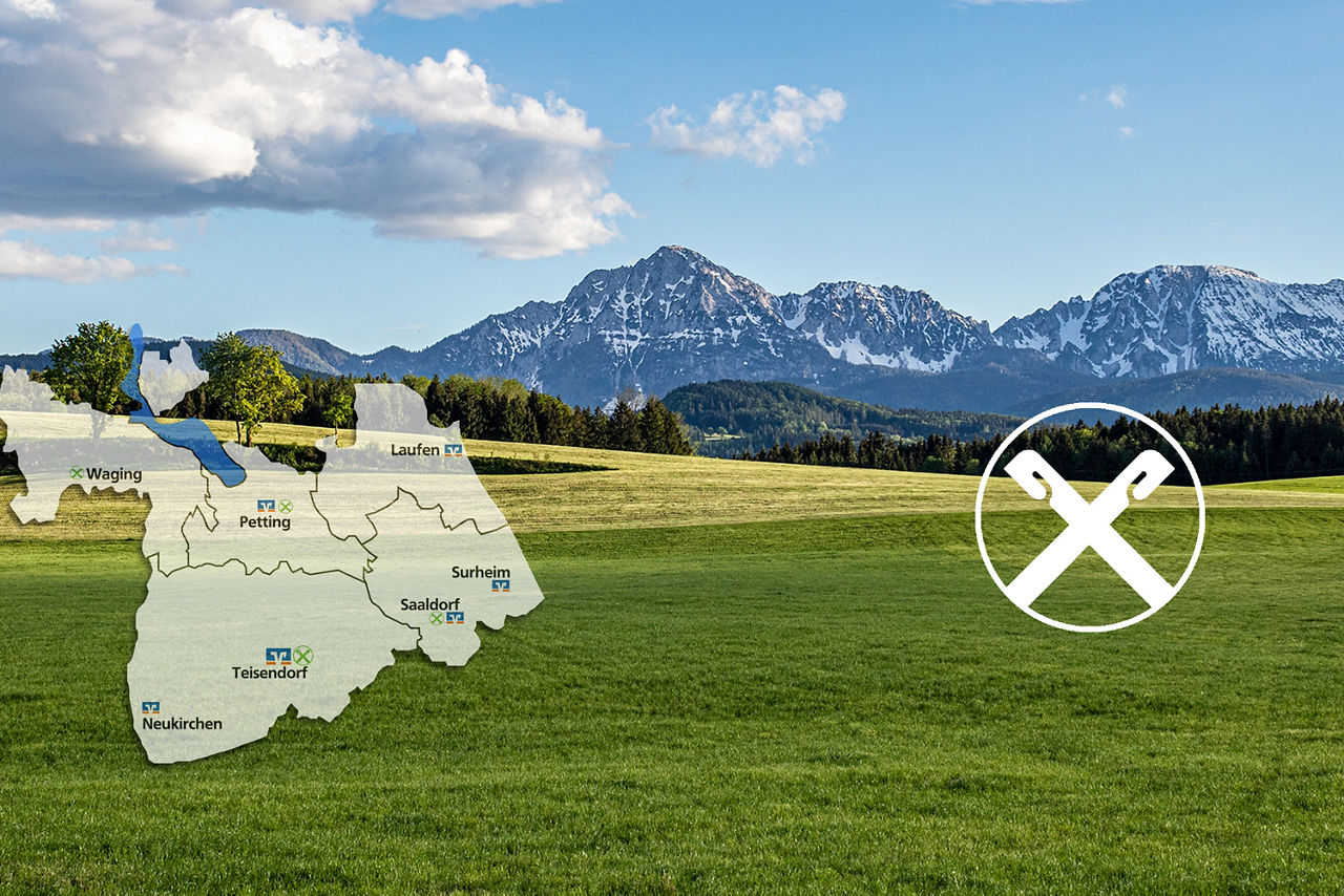 Gemähte Wiesen mit den Alpen im Hintergrund