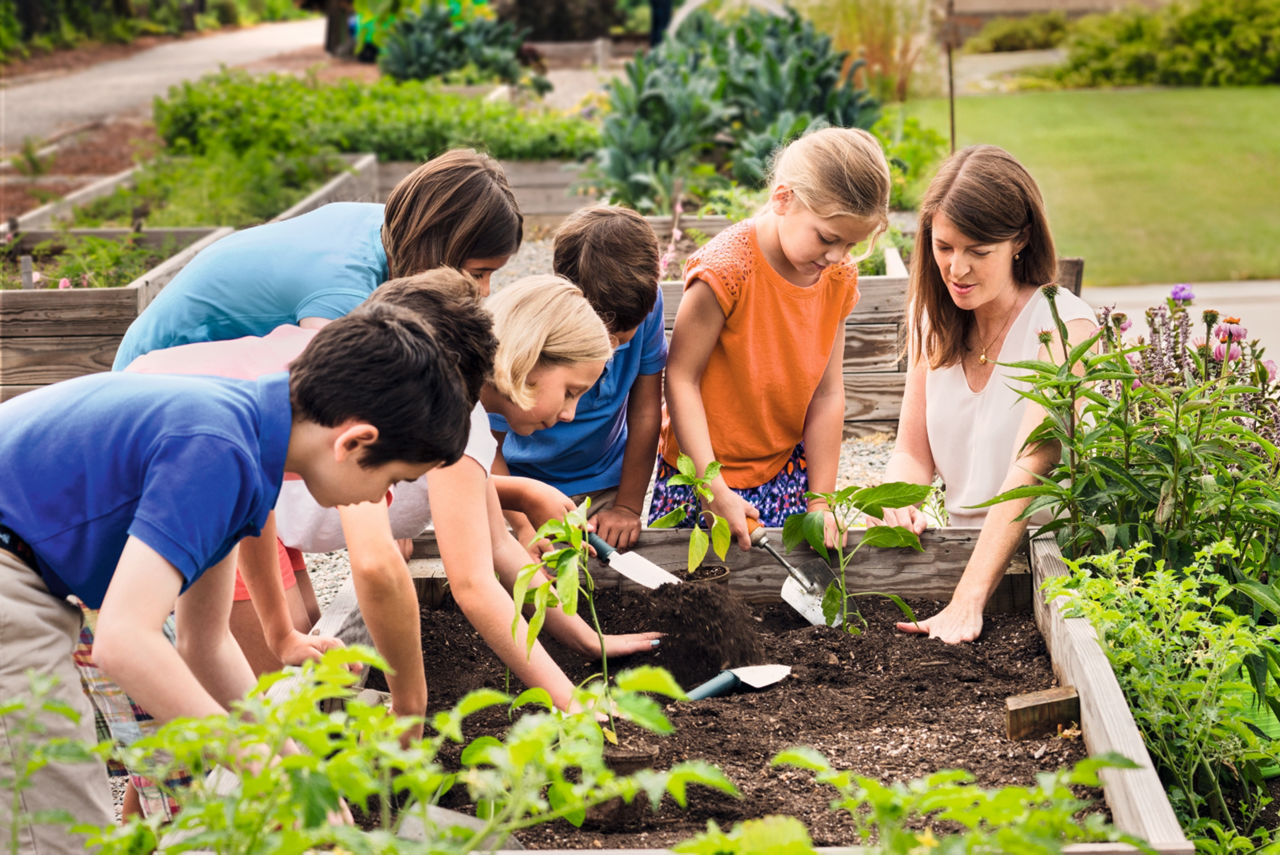 Eine Frau pflanzt mit fünf Kinder Pflanzen in ein Beet ein