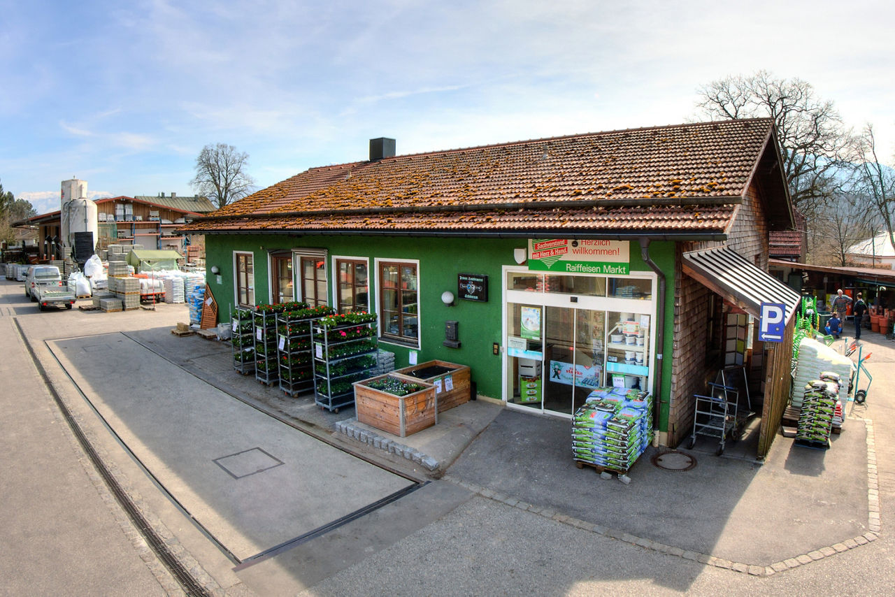 kleines grünes Haus mit Blumen