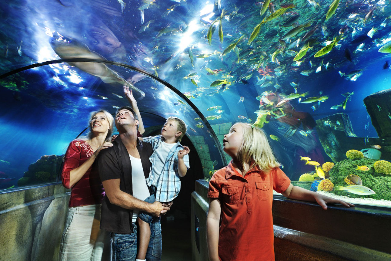 Eine Familie in einem Aquarium