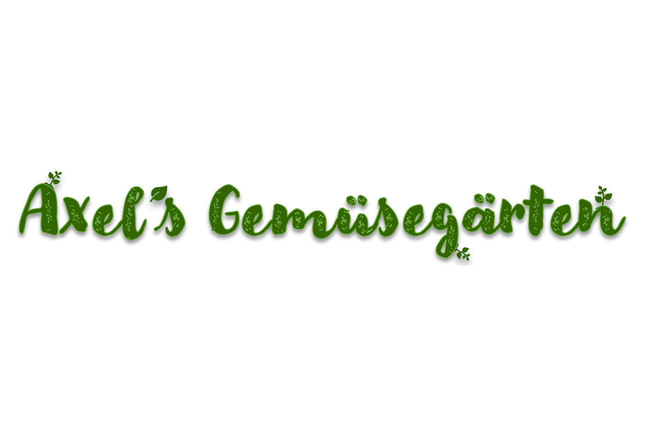 Im Bild Sparda Horizont Vorteil Axel’s Gemüsegarten