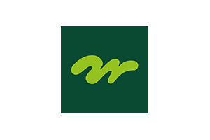 Logo immergrün Offenburg