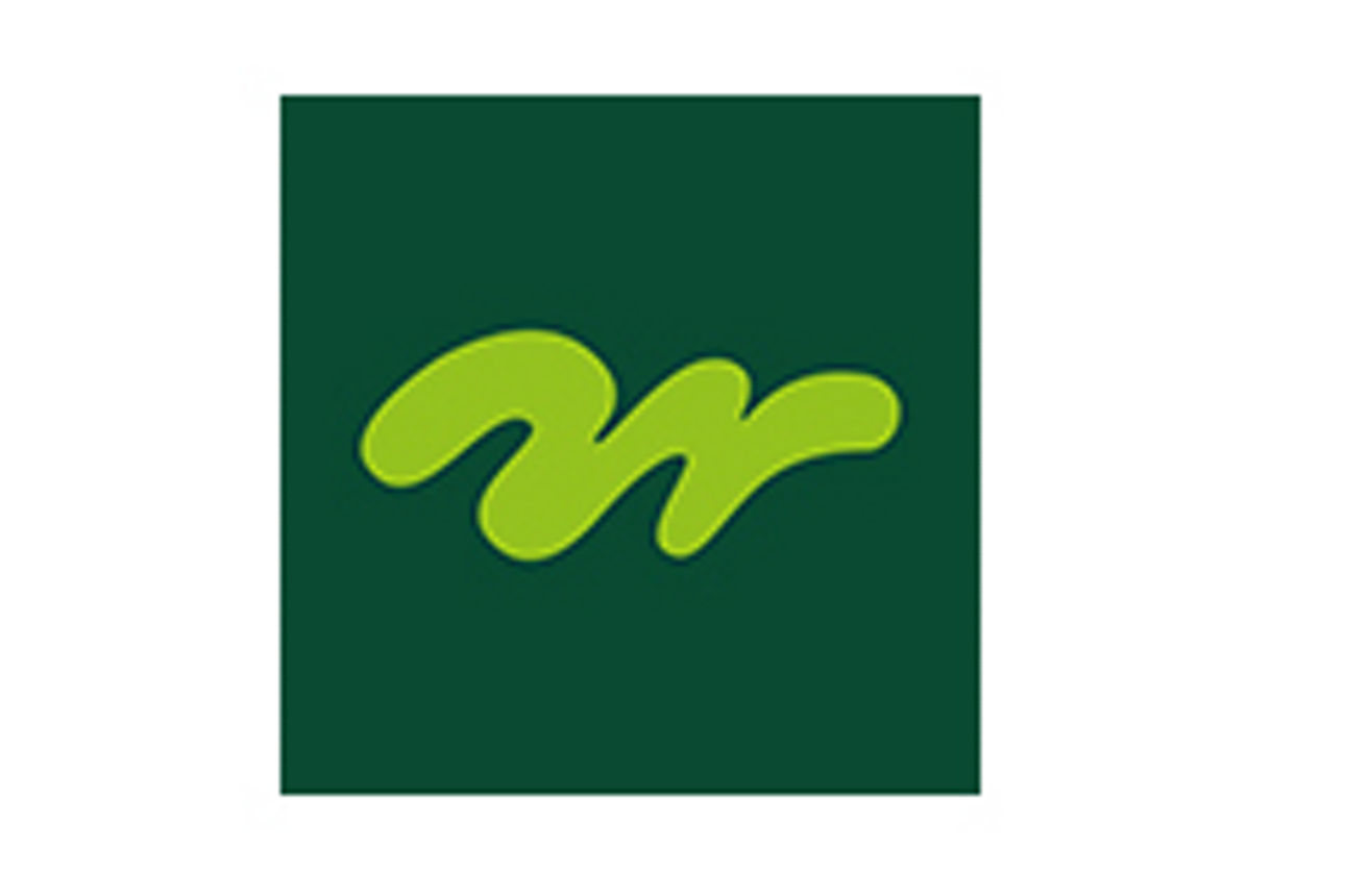 Logo immergrün Offenburg