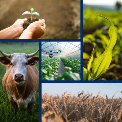 Anmeldeprozess LW-Forum