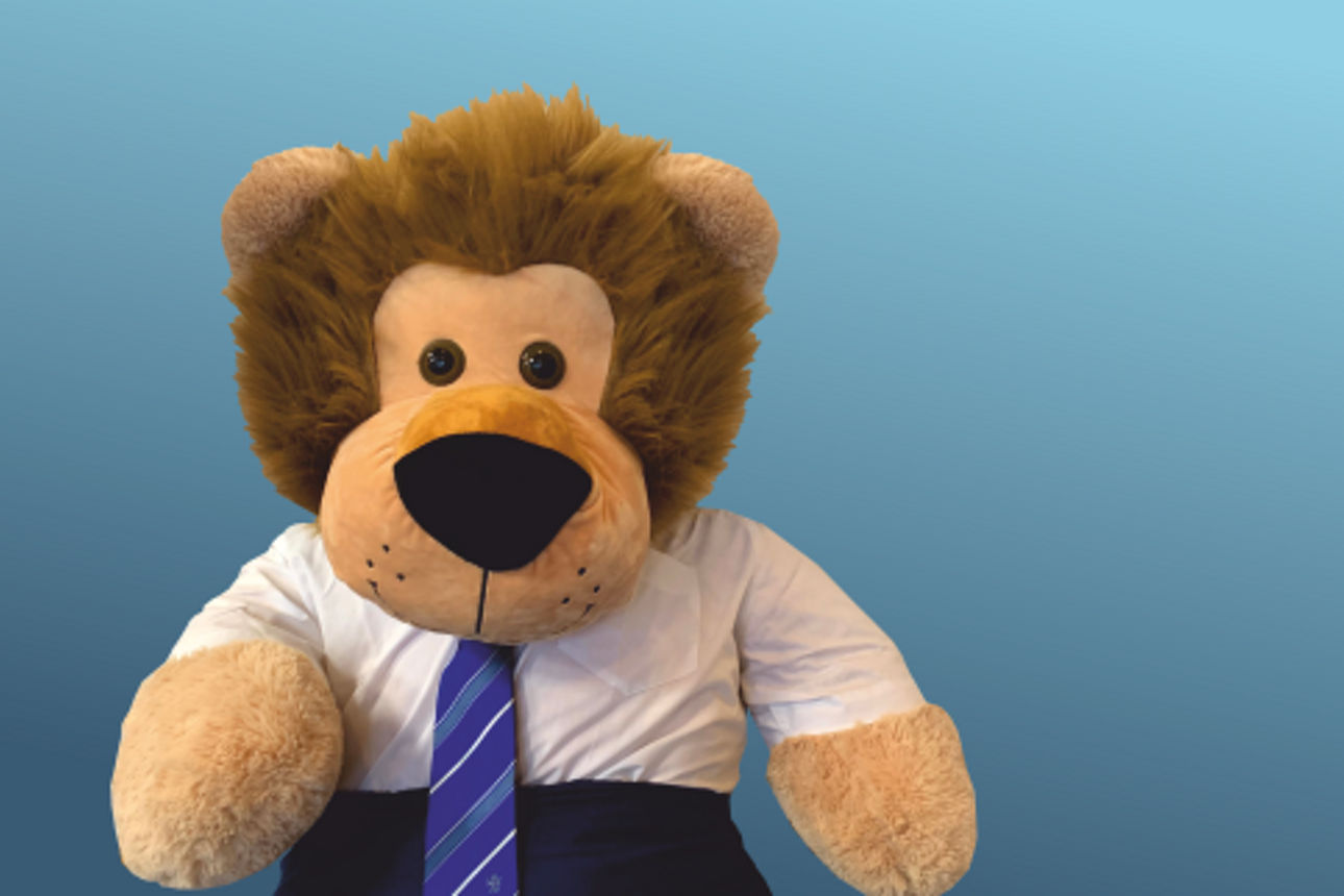 Kuscheltier Löwe hat einen Anzug an und sitzt vor einem blauen Hintergrund