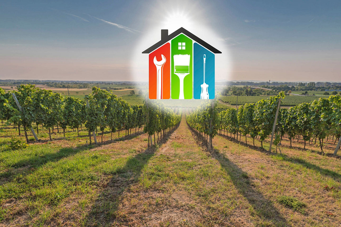 Weinberge mit Haus-Symbol und Werkzeugen, Darstellung von Energieeffizienz und Sanierung im ländlichen Raum