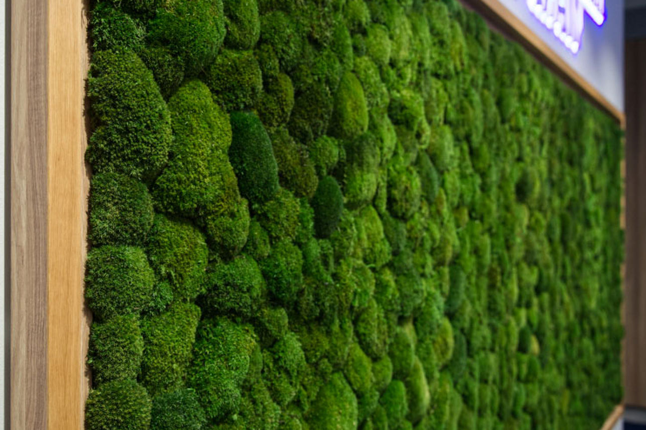 Mooswand in einer Filiale der Zukunft