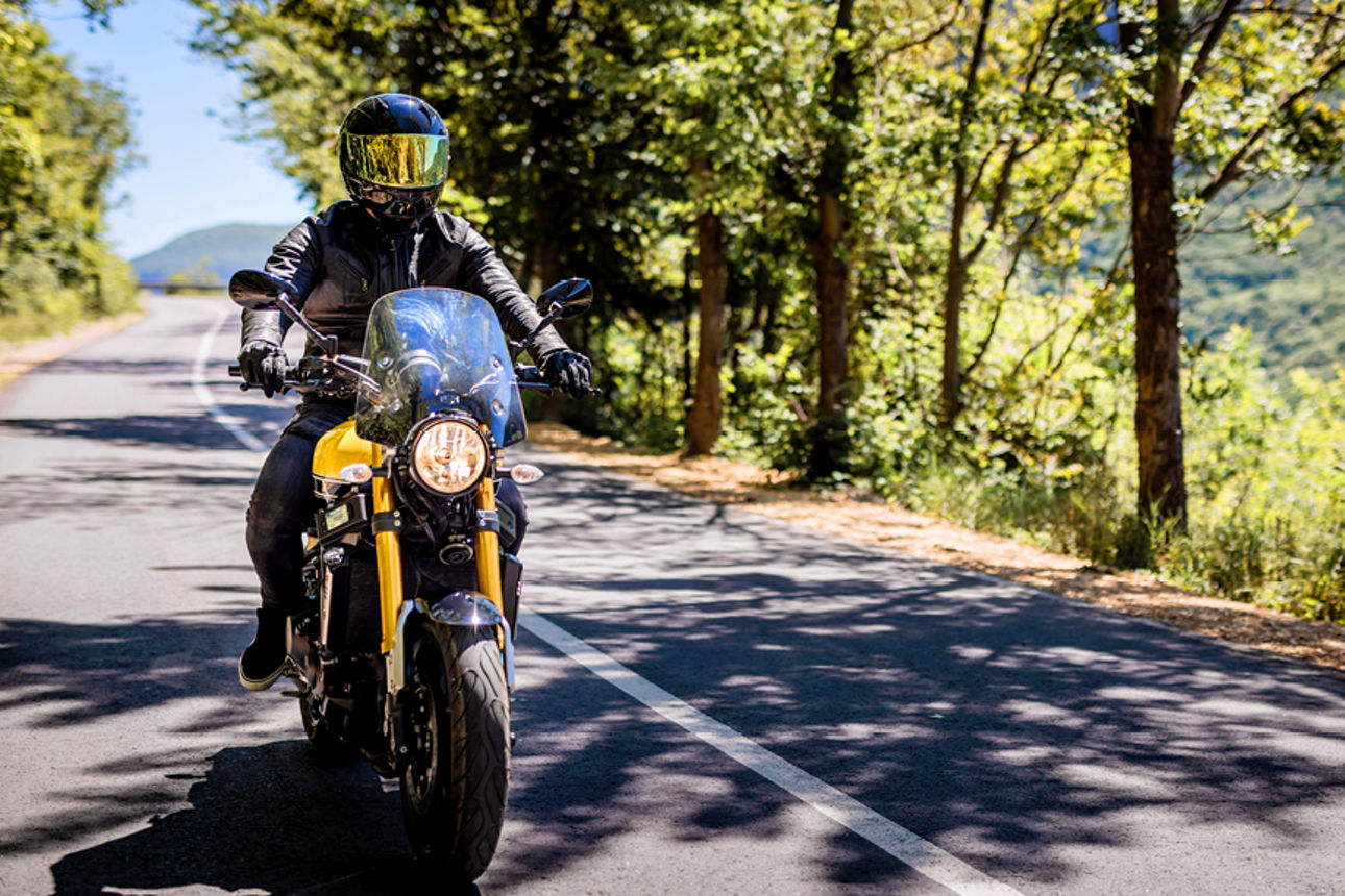 Zwei Personen sitzen auf einem Motorrad auf einer Landstraße, umgeben von Palmen und grünem Landschaftshintergrund.