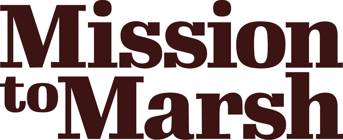 Logo Mission to Marsh