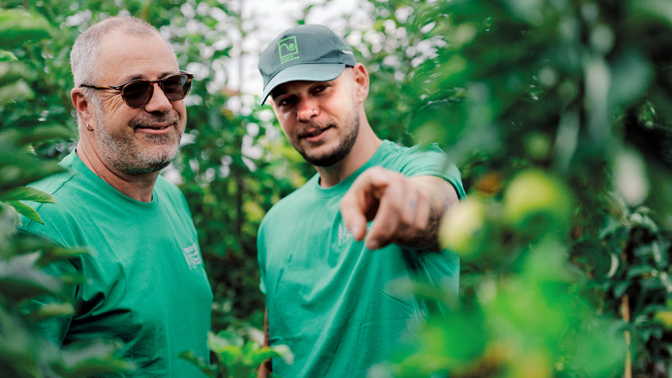 Martin und Anton Bayer (Garten- und Landschaftsbau, Baumschulen)