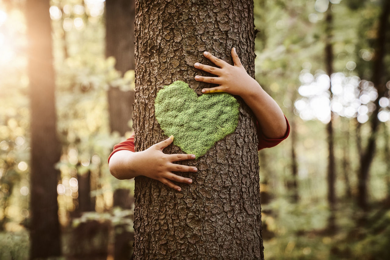 Baum mit grünen Herz wird von Mensch umarmt 