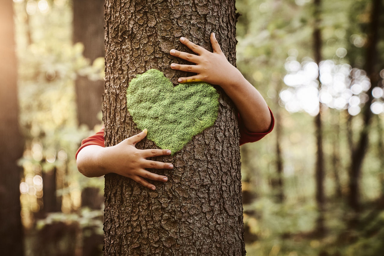 Nahbild von Kinderhänden, die einen Baum umarmen. Ein Bild für Naturliebhaber.