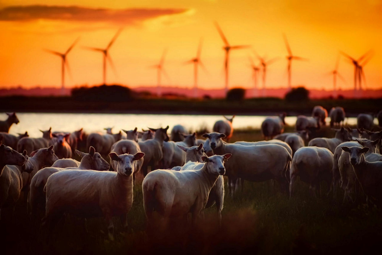 Abbildung Landschaft mit Windkraftanlagen gefördert durch nachhaltige Fonds