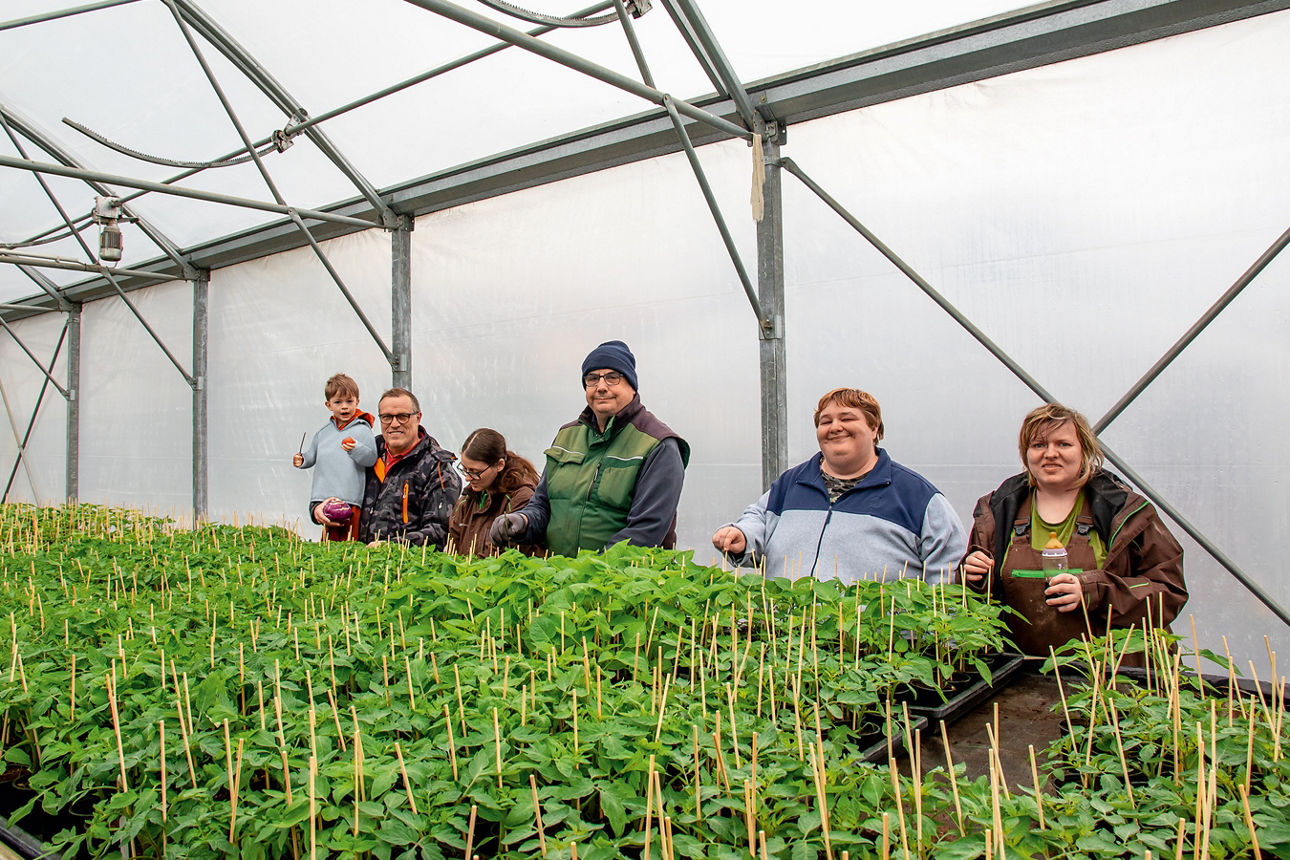 Sechs Personen stehen in einem Gewächshaus hinter einer langen Reihe junger Pflanzen.