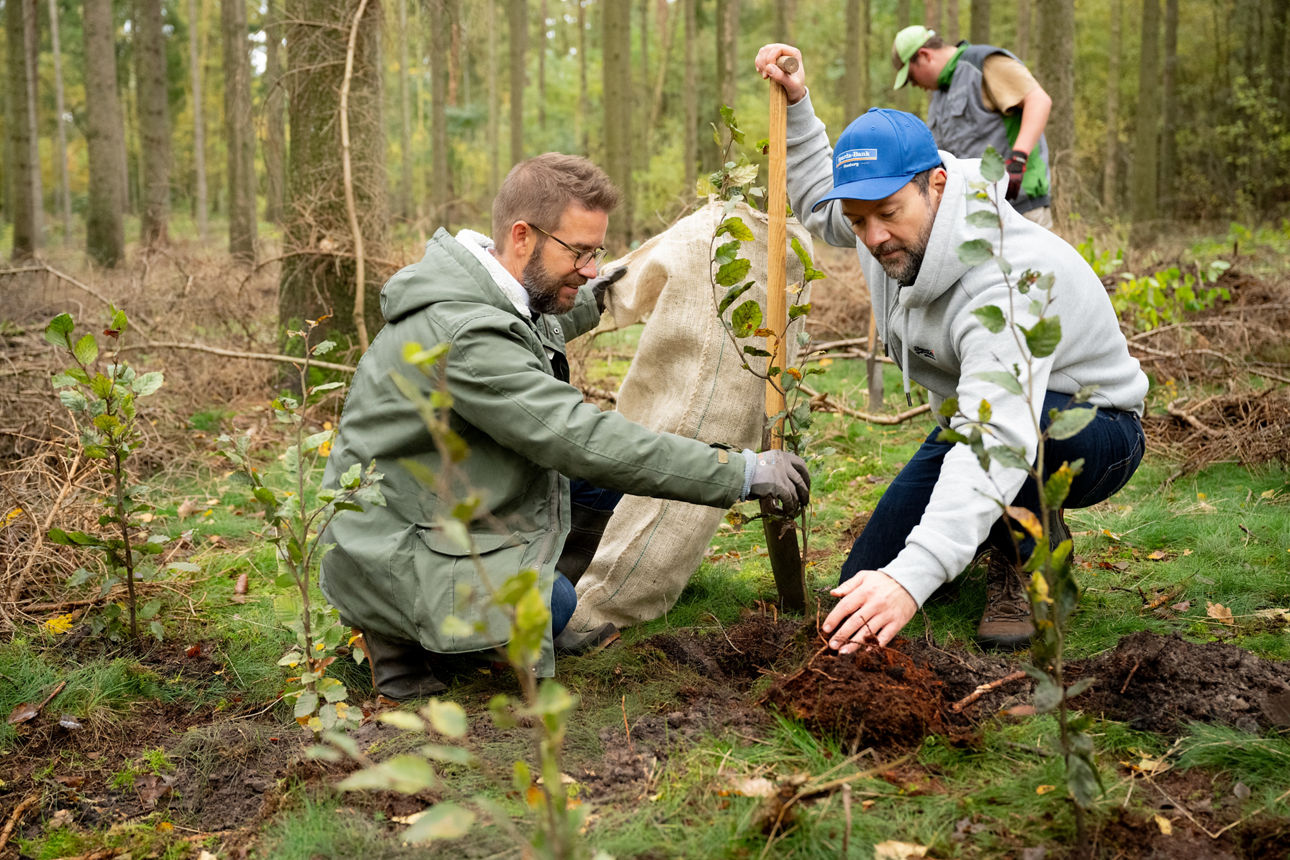 Zwei Sparda Horizont Mitglieder pflanzen einen Laubbaum während einer Sparda Horizont Baumpflanzaktion