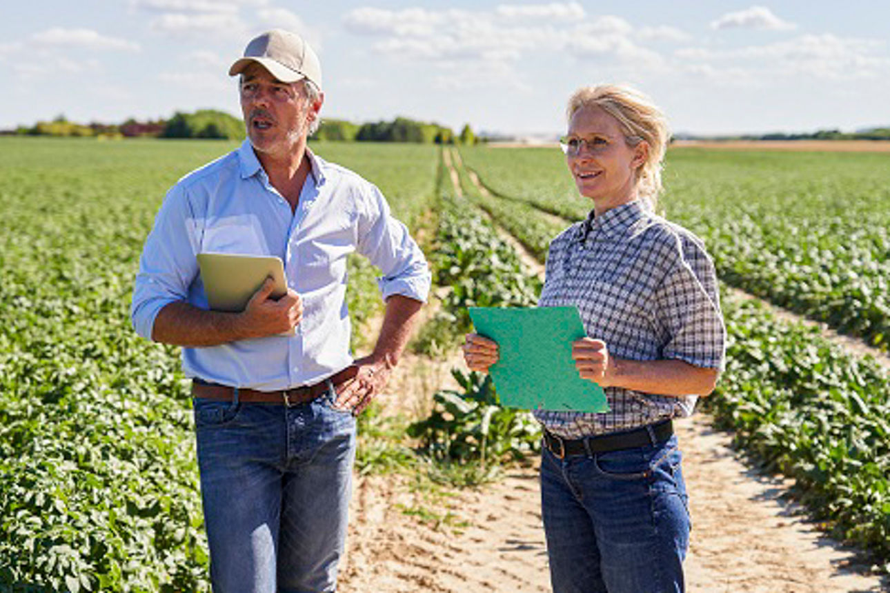 Ein Landwirt  unterhält sich mit seiner Bankberaterin auf einem Feld