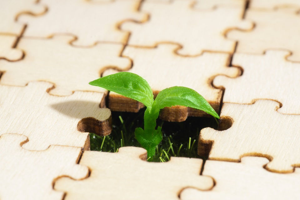 Pflanze wächst zwischen Puzzelteilen raus