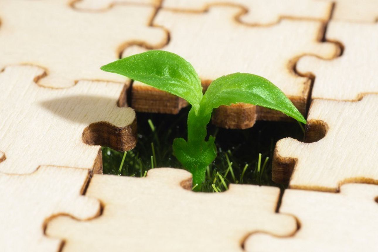 Pflanze wächst zwischen Puzzelteilen raus
