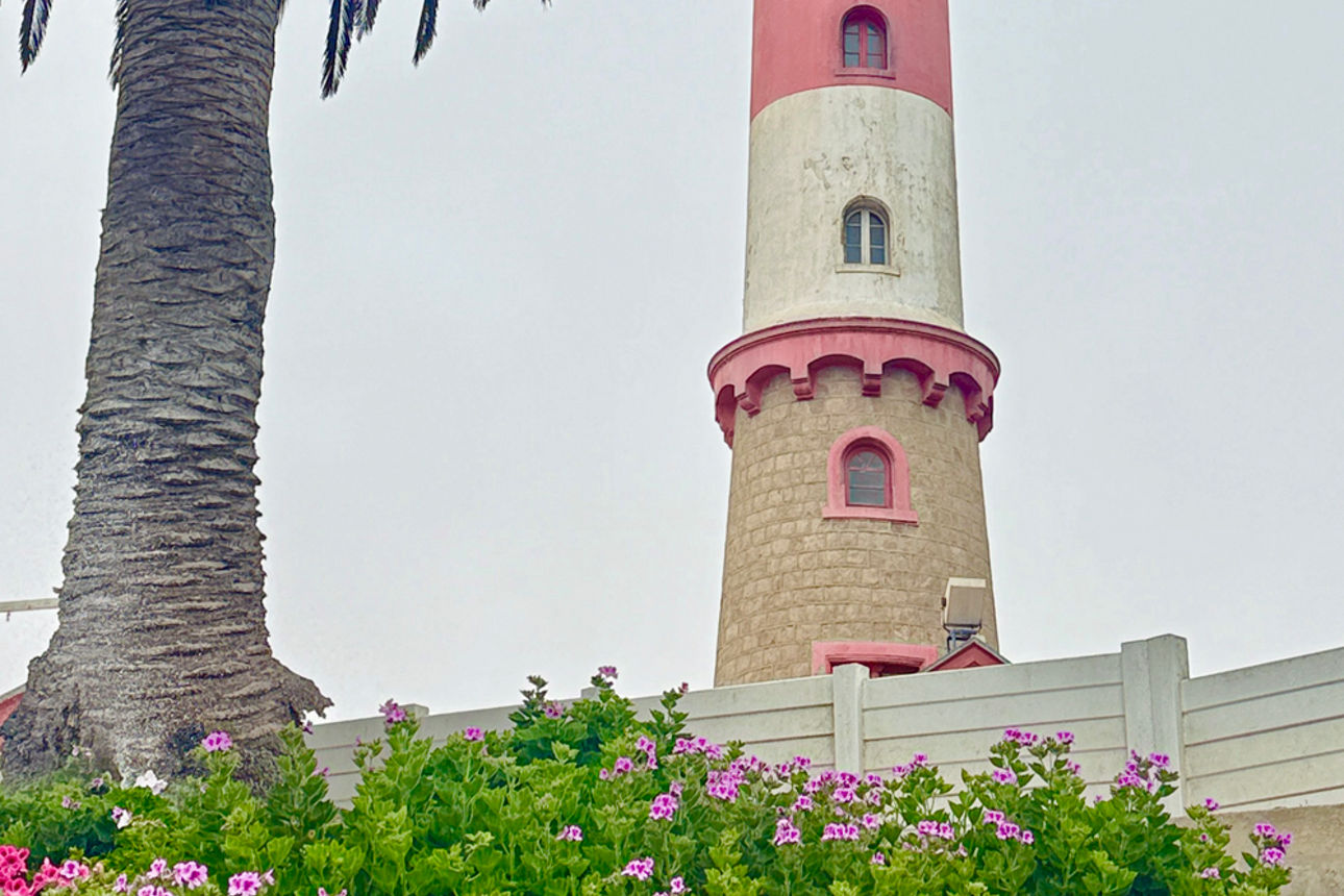 Ein roter und weißer Leuchtturm hinter einer Palme und rosa Blüten.