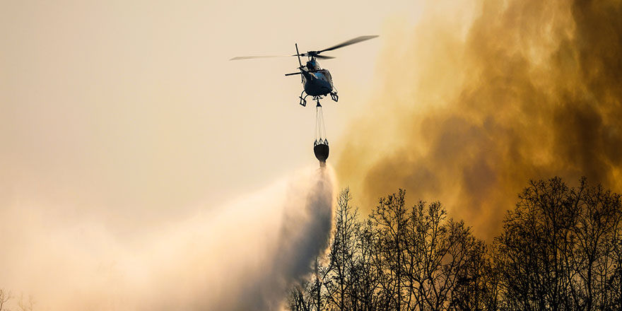 Waldbrände zerstören große Teile der Stadt Los Angeles. 