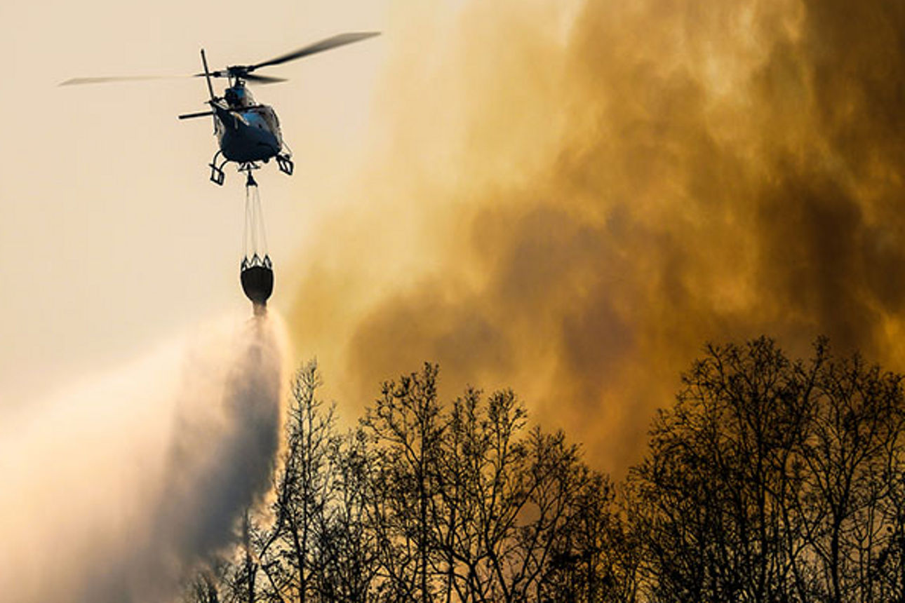Waldbrände zerstören große Teile der Stadt Los Angeles. 