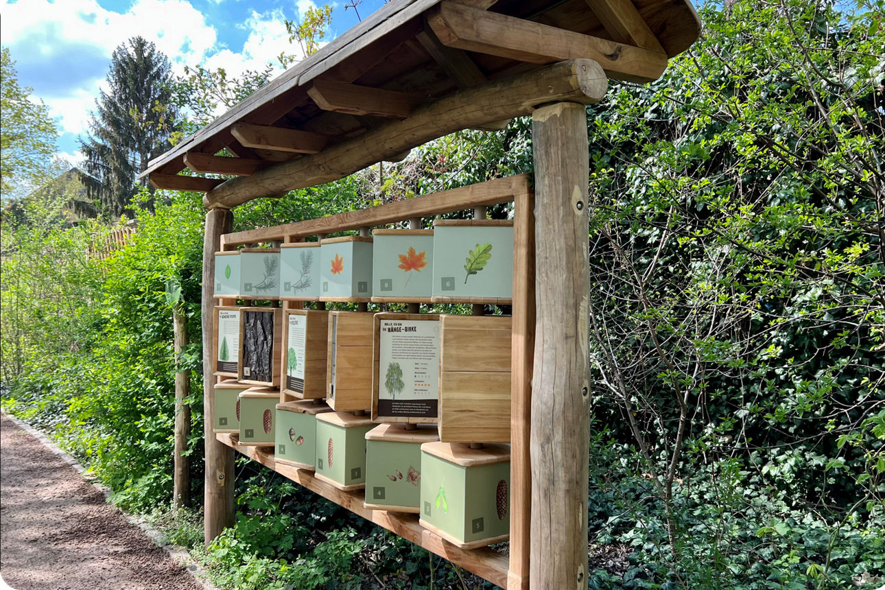 Informationswürfel am Rand des Naturlehrpfades