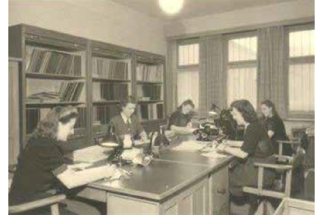 mehrere Personen sitzen in Gruppenaufstellung an Schreibtischen