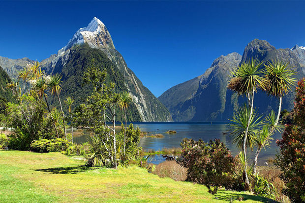 neuseeland 