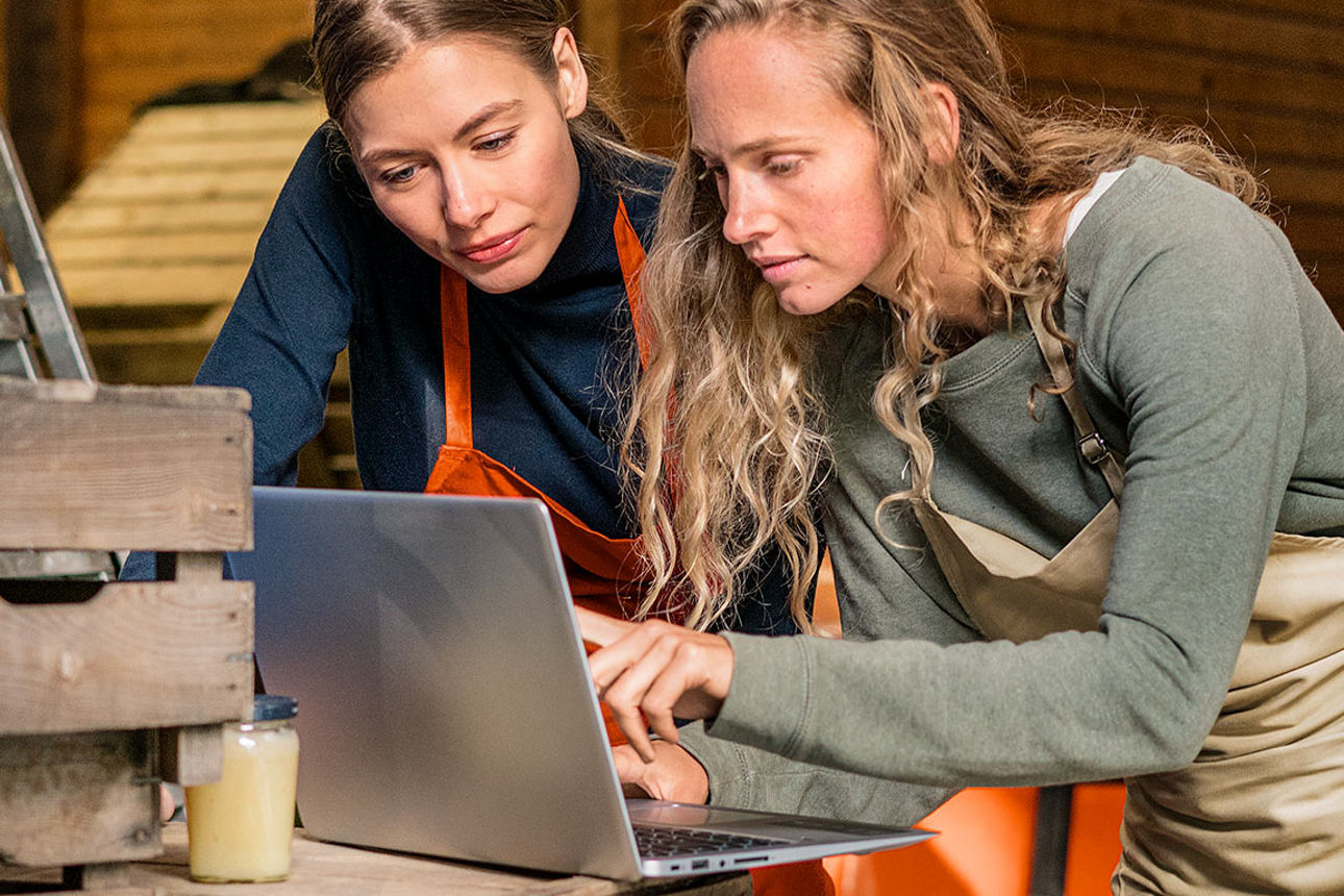 TAN-Leser bestellen - Zwei Frauen schauen auf einen Computer. 
