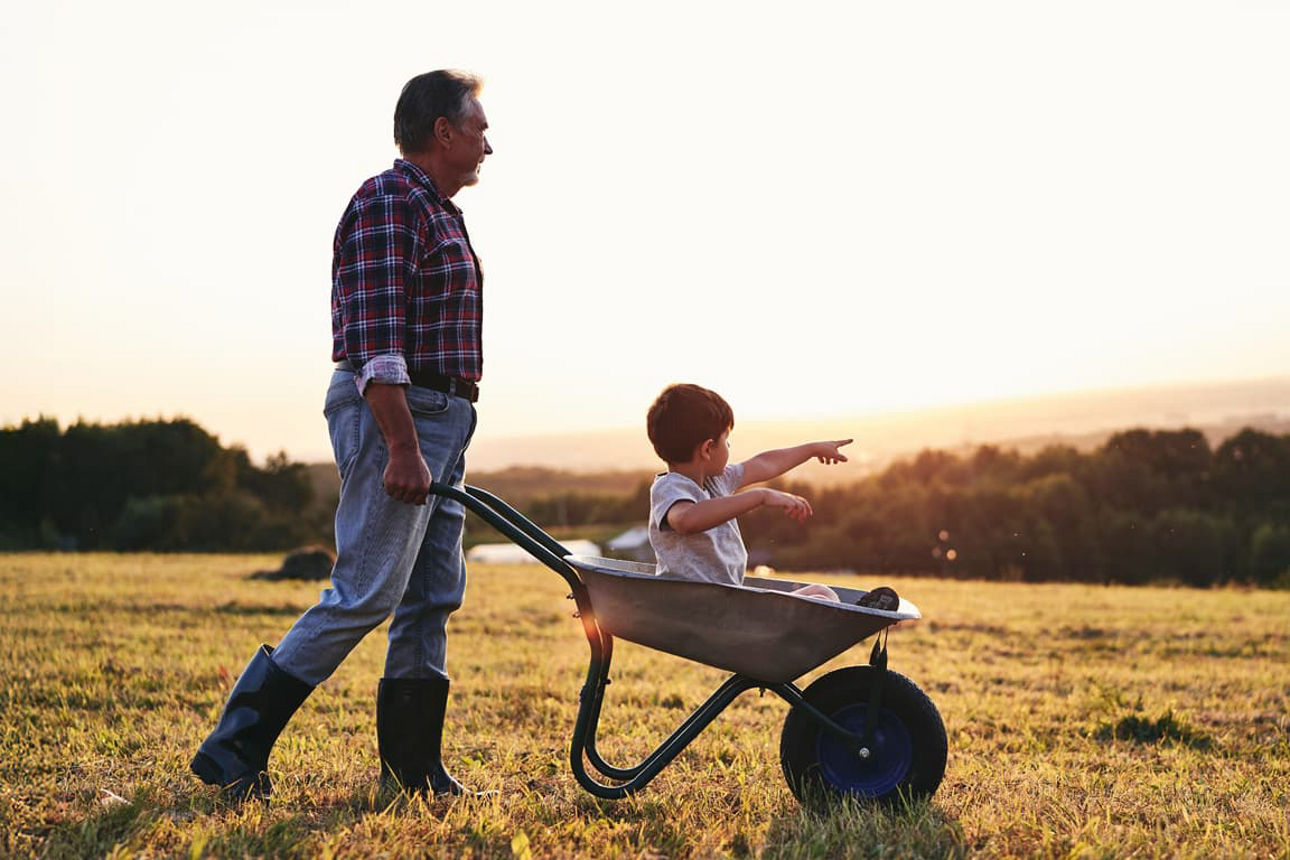 Älterer Mann schiebt einen kleinen Jungen in einer Schubkarre über ein Feld