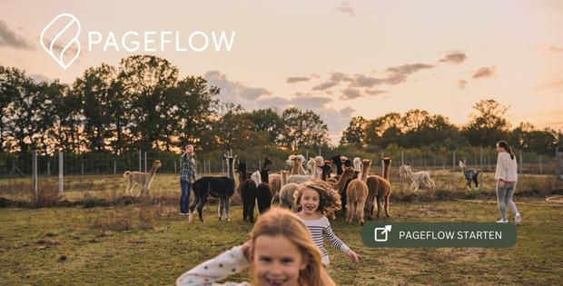Pageflow