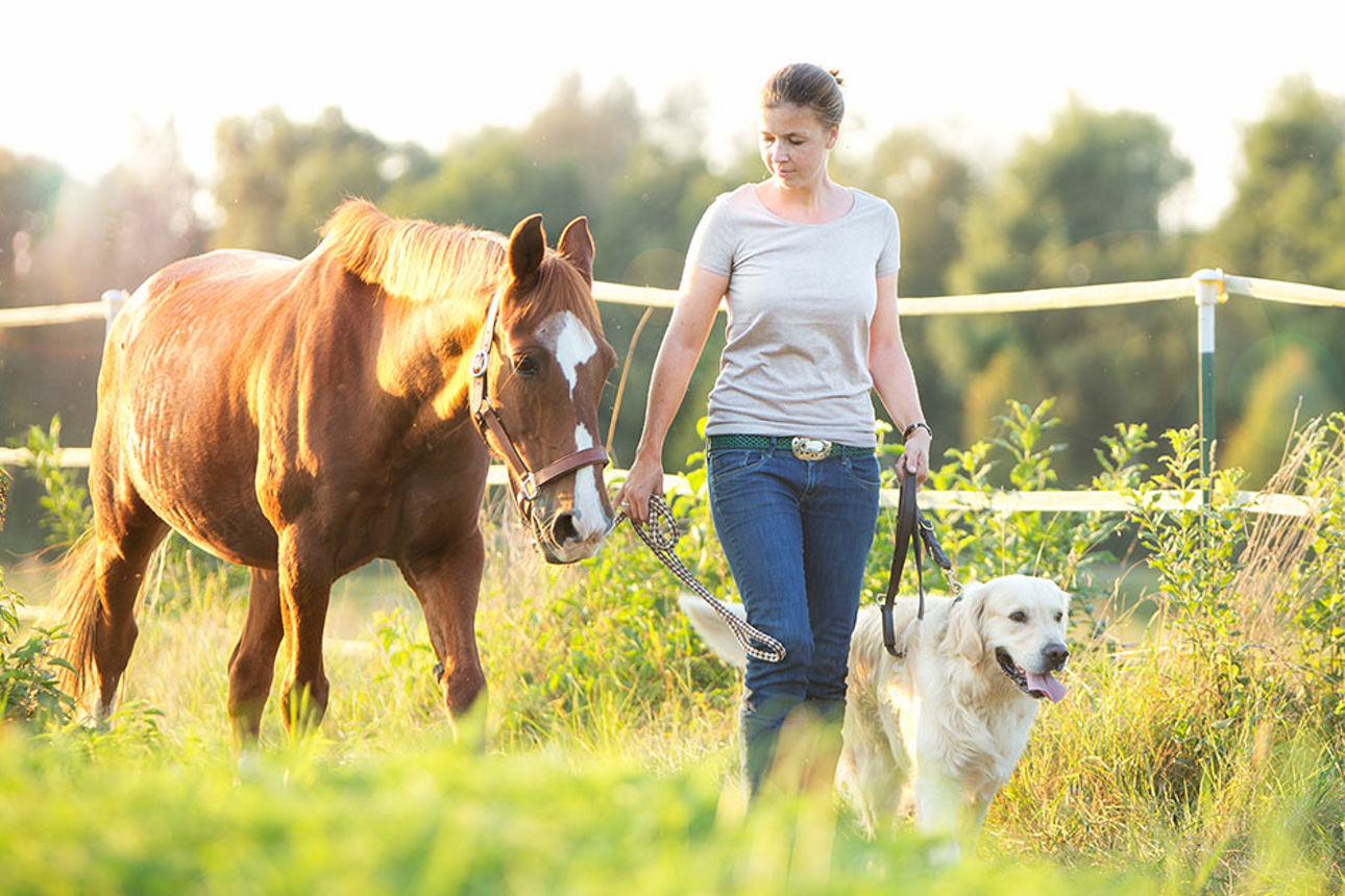 Eine Frau geht mit einem Pferd und einem Hund spazieren.