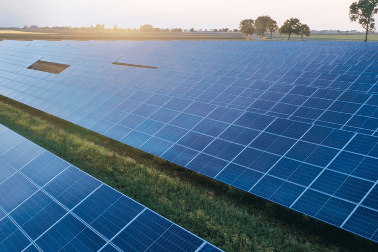 Photovoltaikanlage auf Wiese.