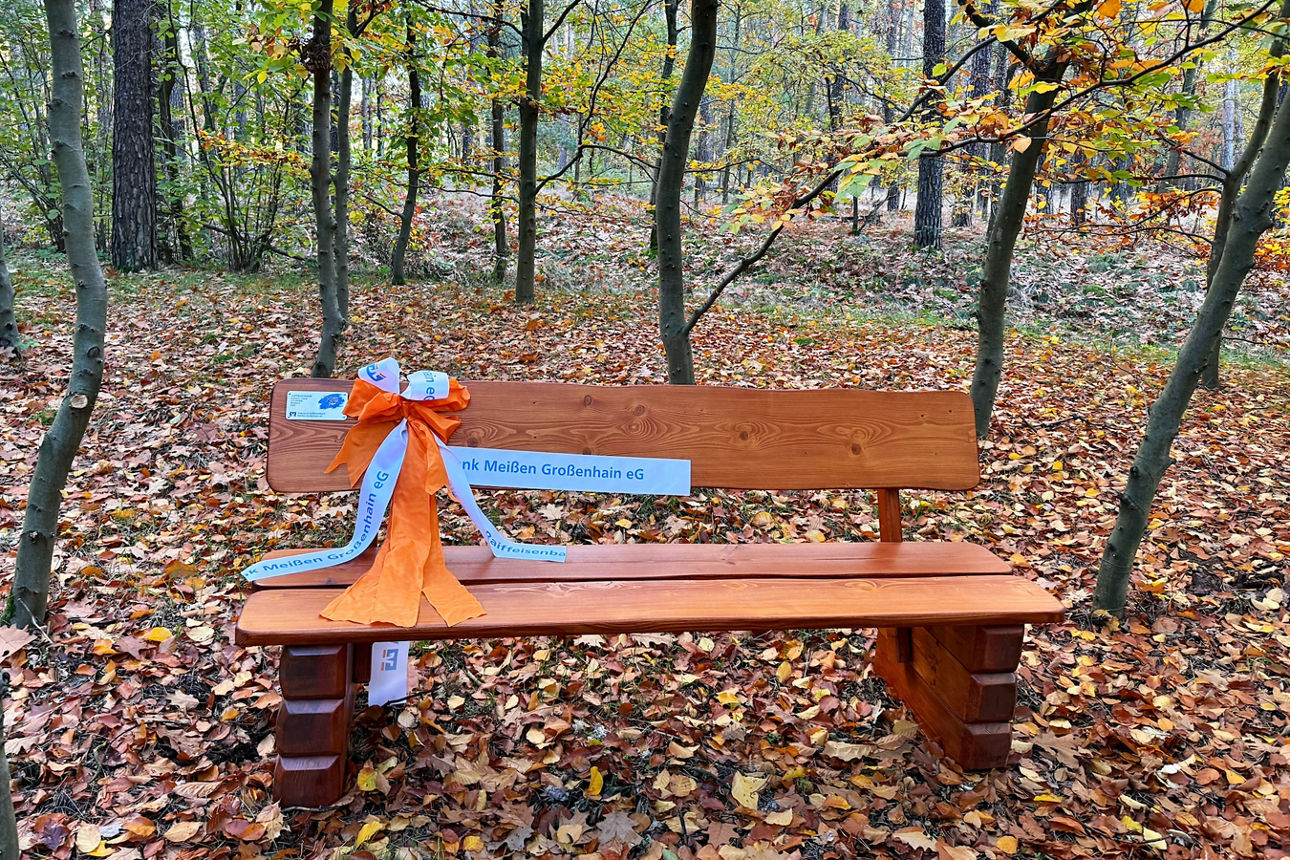 Holzbank mit Schleife im Wald am Pilgerweg Quersa