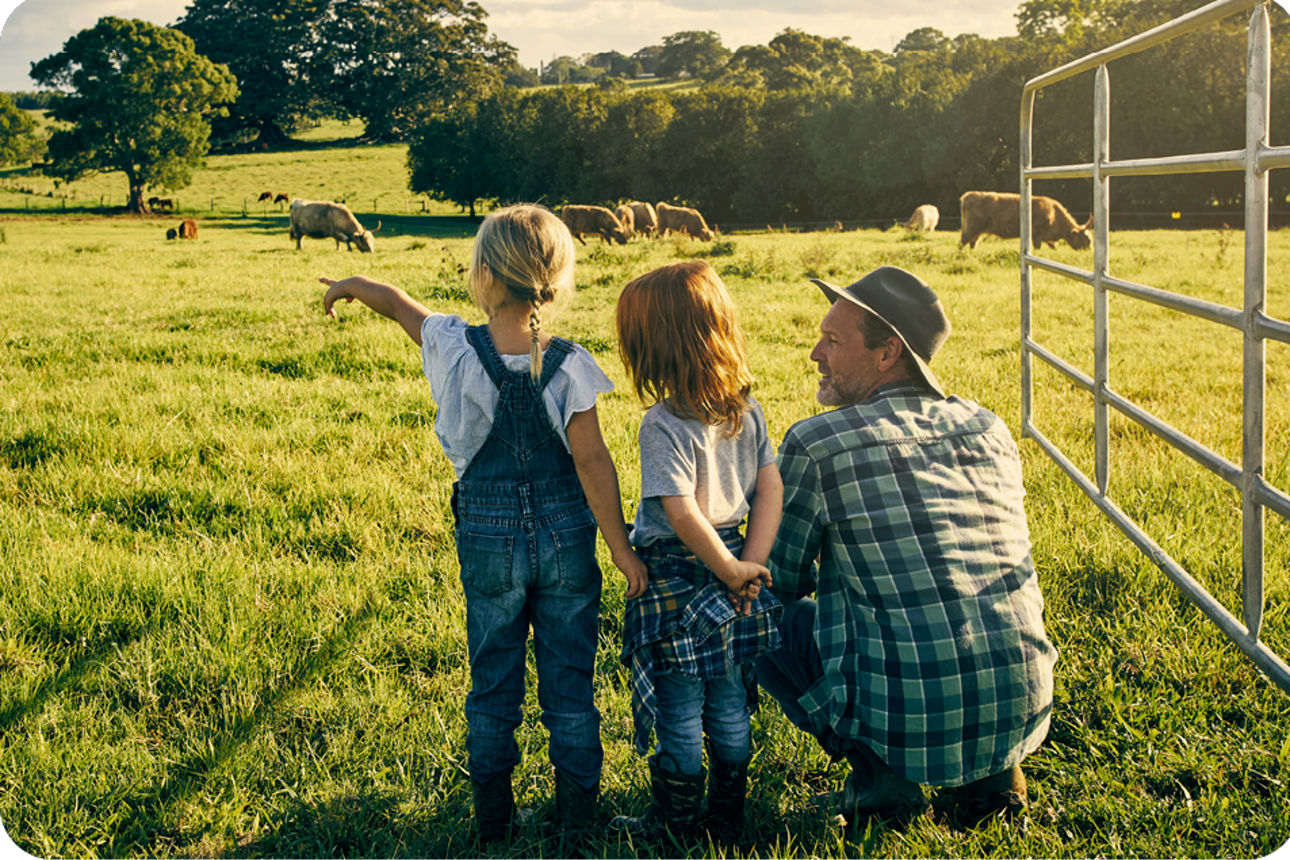 Drei Personen stehen auf einer Weide und betrachten eine grasende Rinderherde im Sonnenlicht.