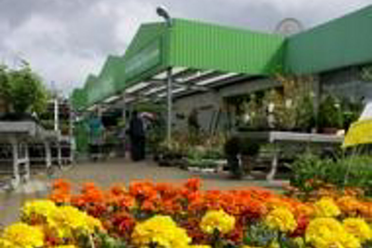 Rote und orangefarbene Zinnienblüten im Vordergrund, im Hintergrund ein Blumenladen und ein Lagerhaus 